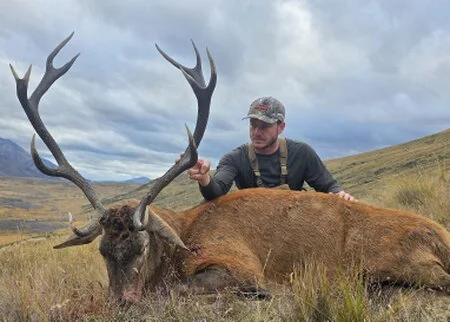 Top of the Lake Guiding - Trophy Red Stag hunt